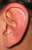 sound-wiki004
